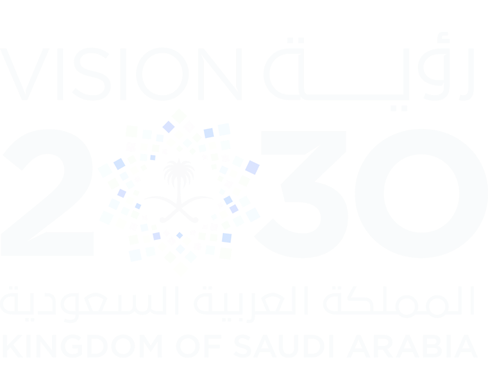 رؤية المملكة 2030